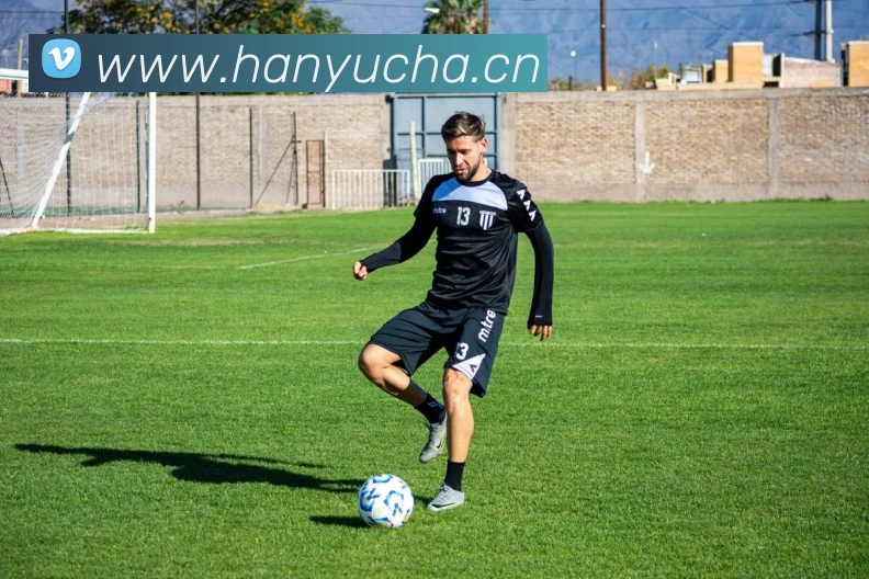 kaiyun入口平台生态图